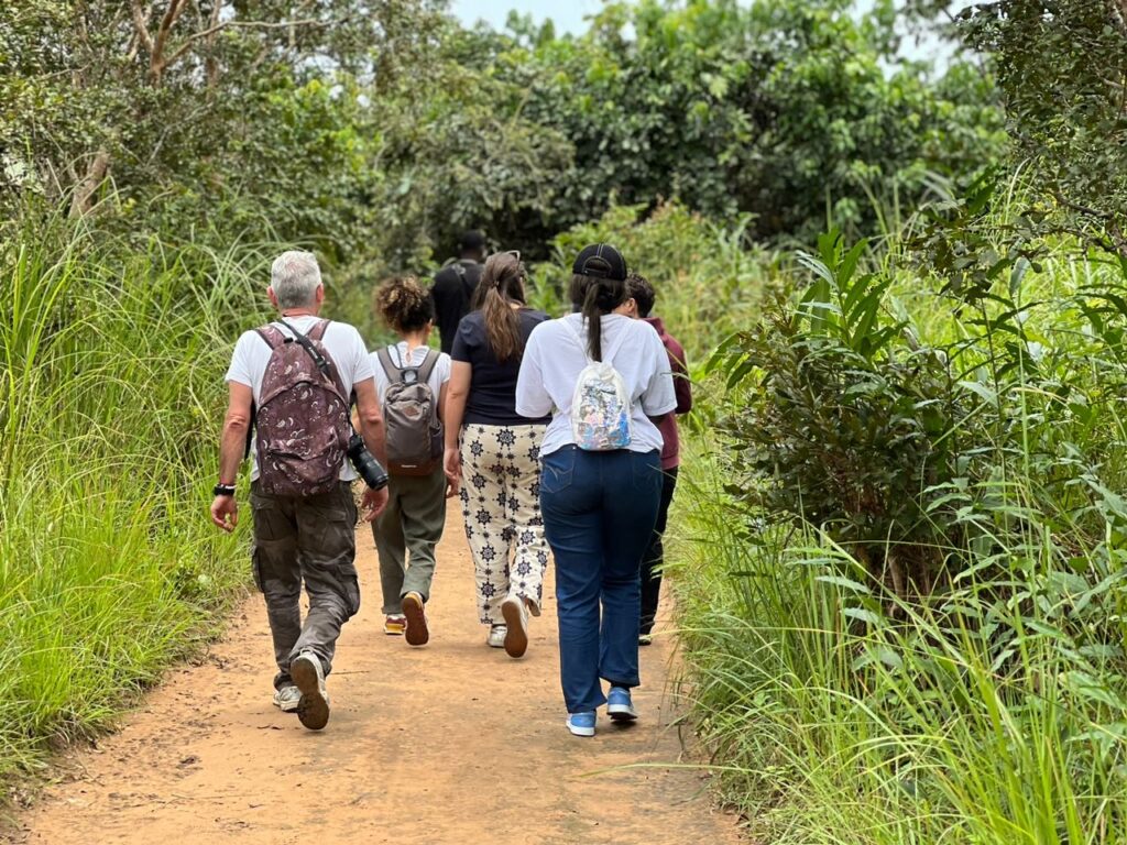 e1def5a9-3b7c-4316-86f6-5e9a67ff2c92