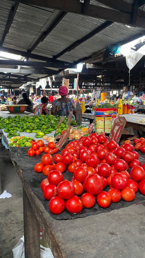 3402c861-4274-4941-913a-b93696c2507c