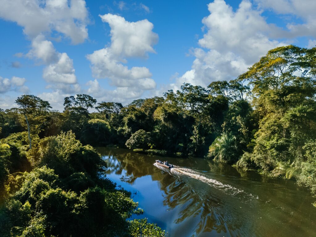 Motorboat in the lake surrounded by beautiful green trees under a cloudy sky