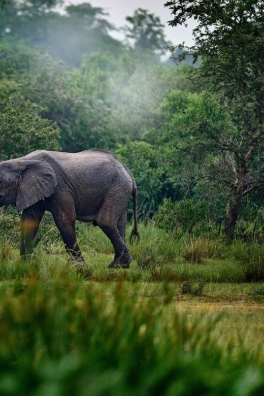 vertical_520_780 (1)