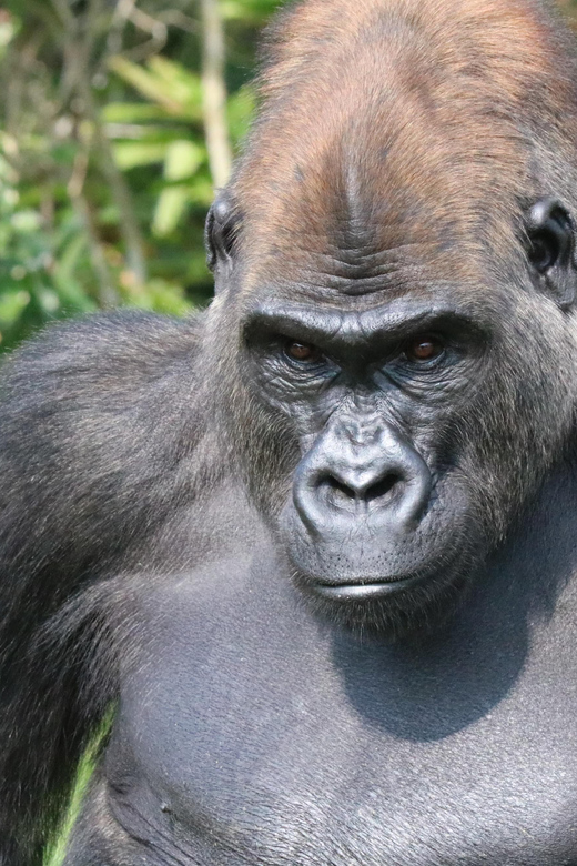 vertical_520_780 (3)