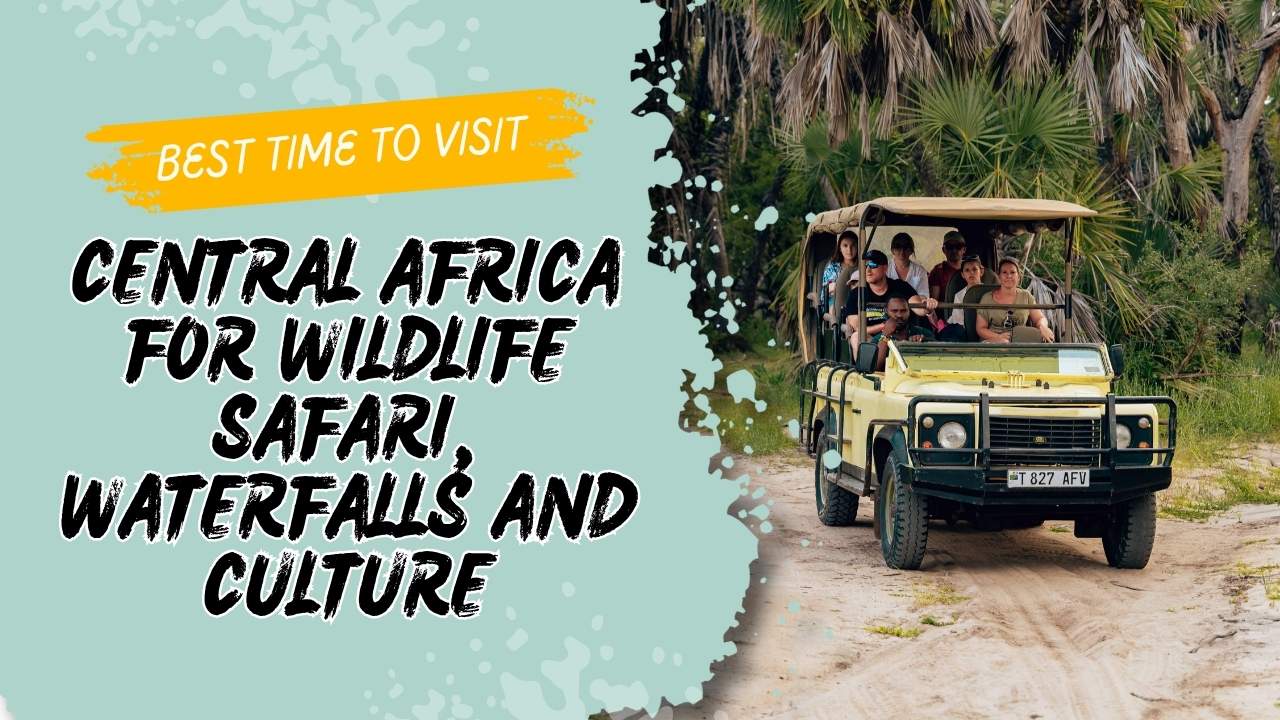 Wildlife Safari Waterfalls | Africa city tours