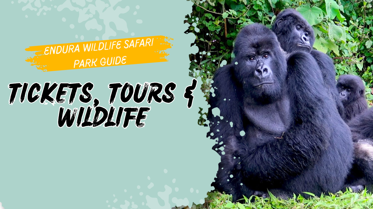 Endura Wildlife Safari Park