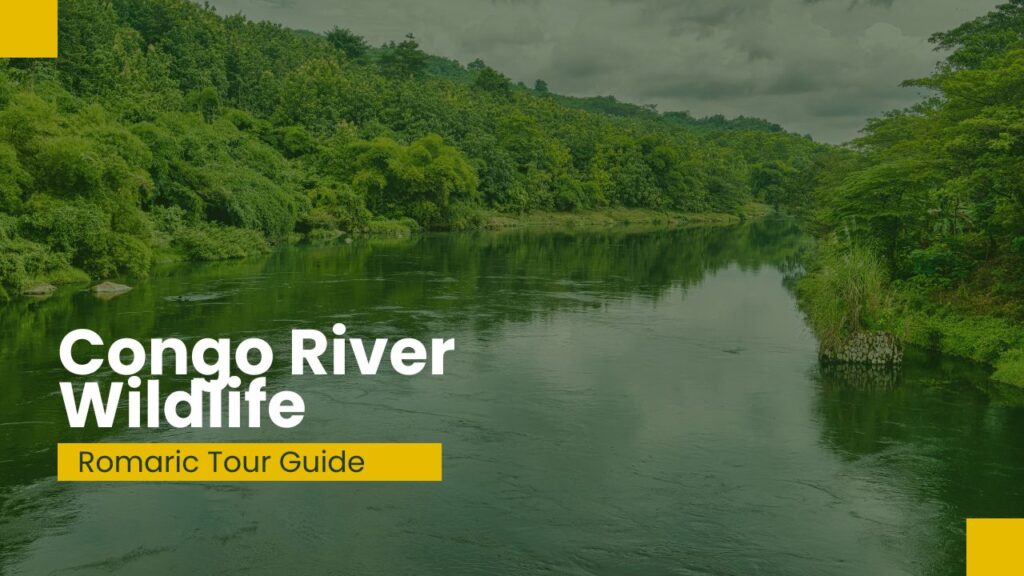 Congo River wildlife