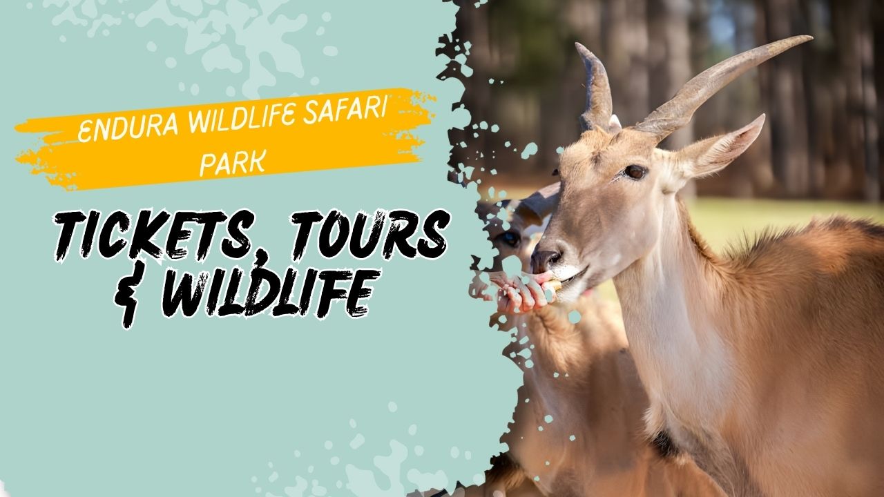 Endura Wildlife Safari Park