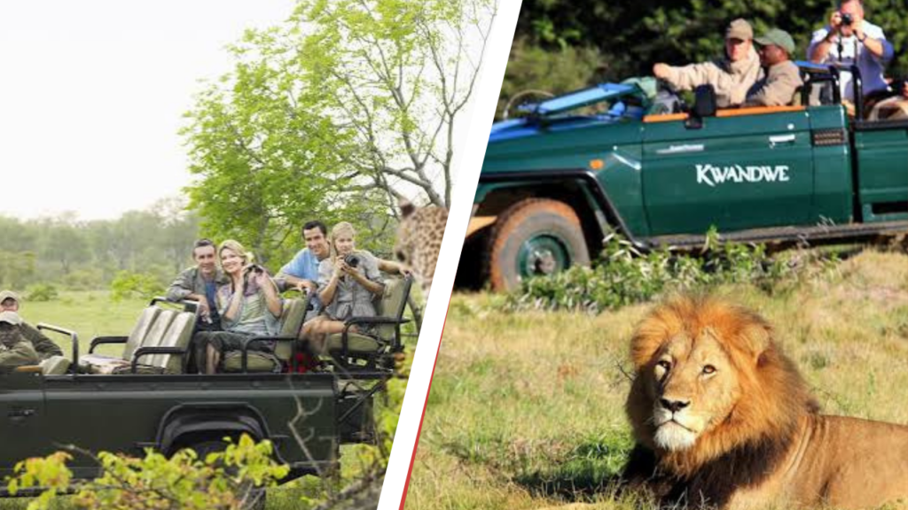 Luxury South Africa Safari