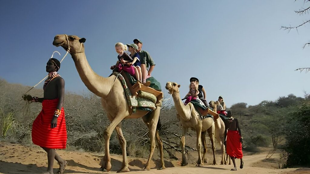 African Safari