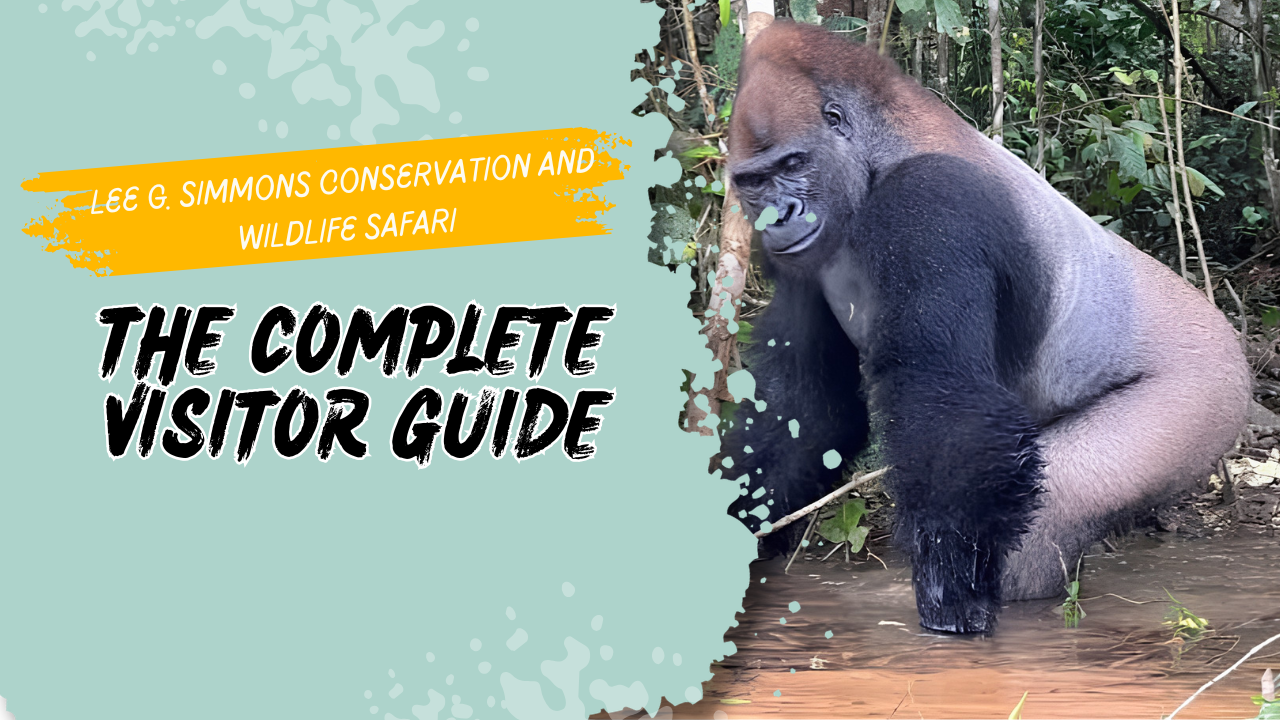 Lee G. Simmons Conservation and Wildlife Safari