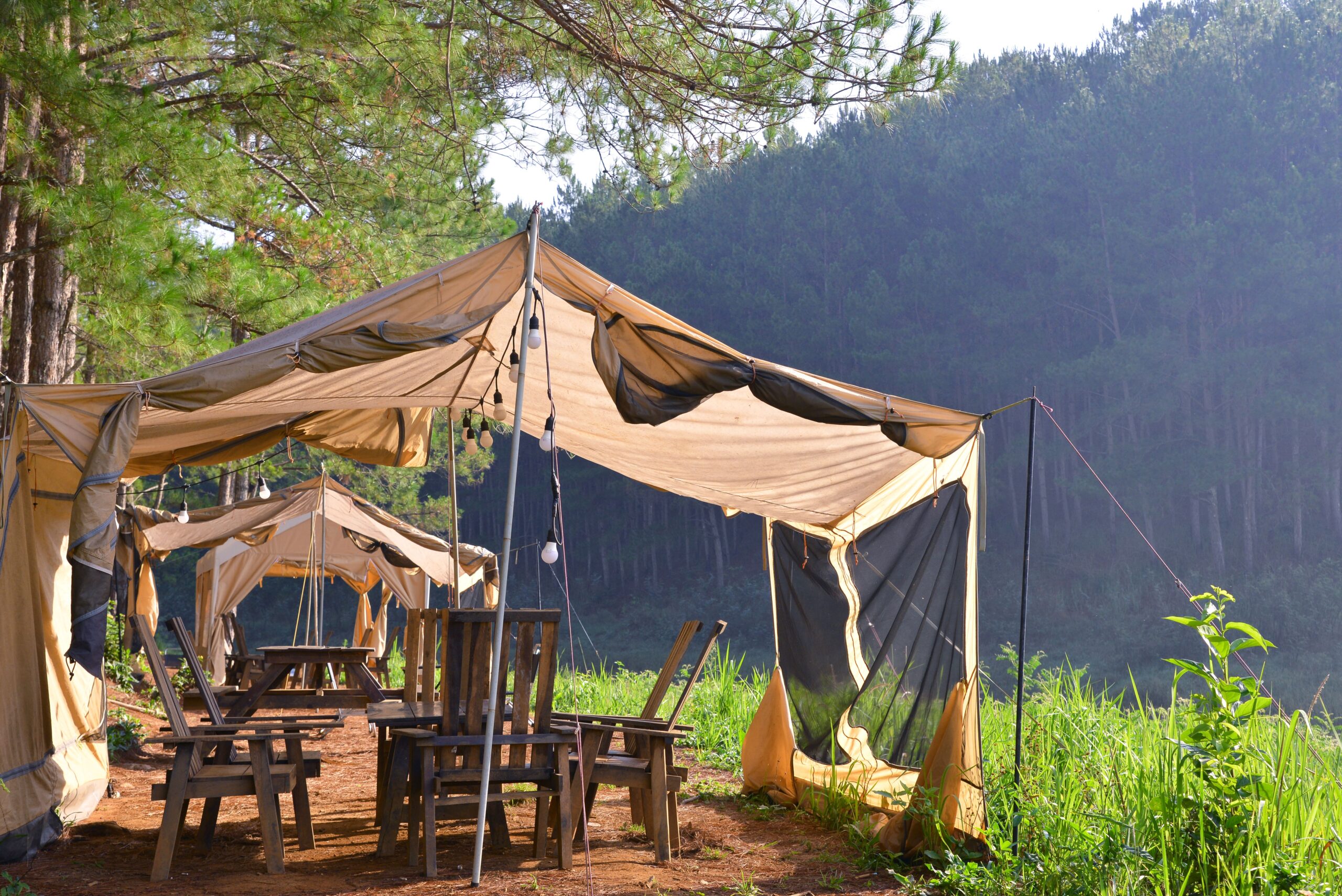 Safari jeep expedition