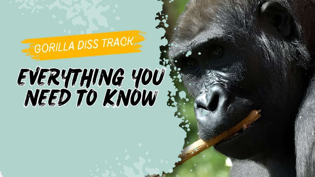 Gorilla Diss Track