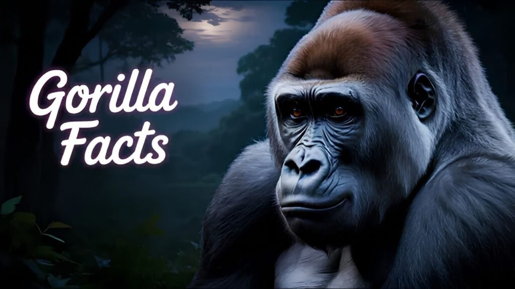 Gorilla Diss Track